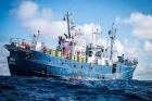   .  